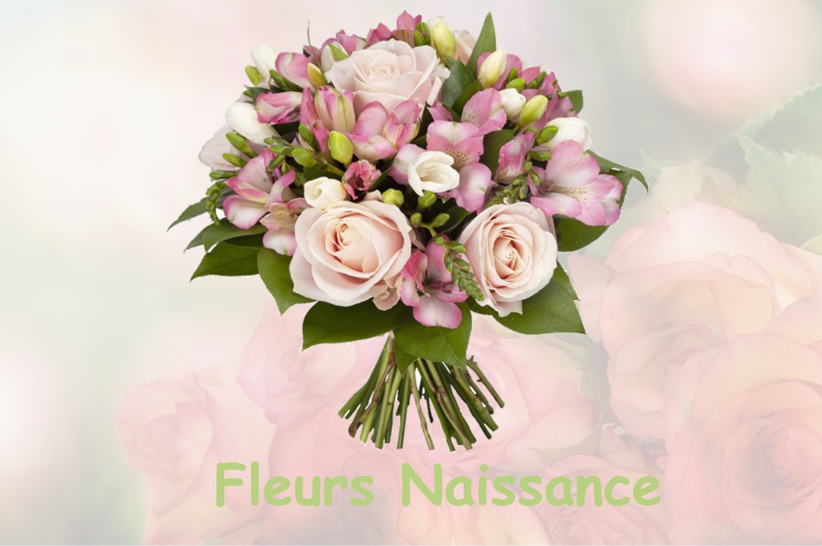 fleurs naissance REVEL-TOURDAN