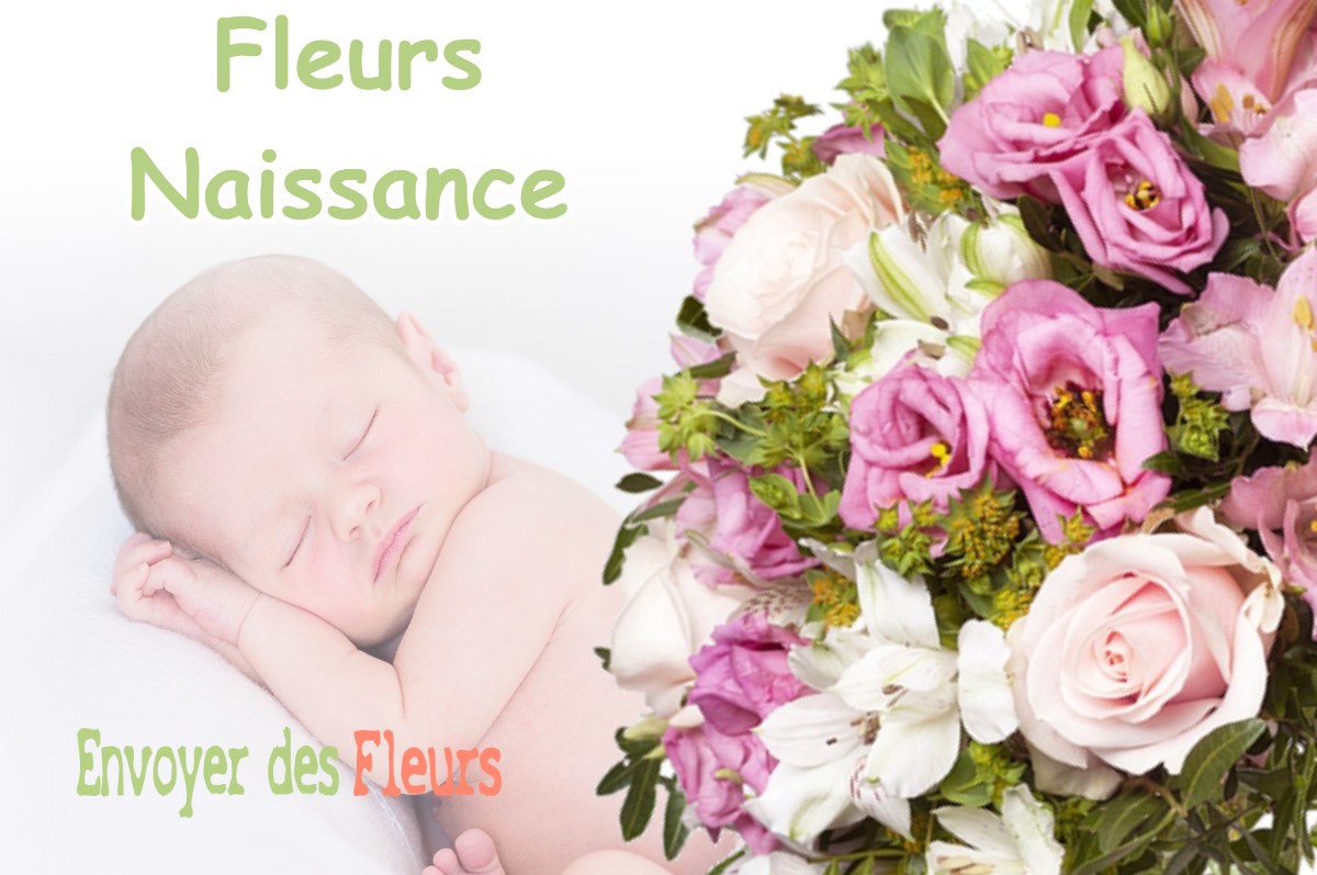 lIVRAISON FLEURS NAISSANCE à REVEL-TOURDAN